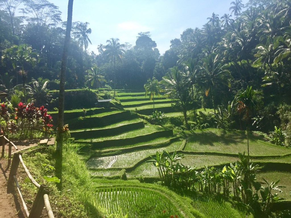 This image has an empty alt attribute; its file name is img-7014.jpg