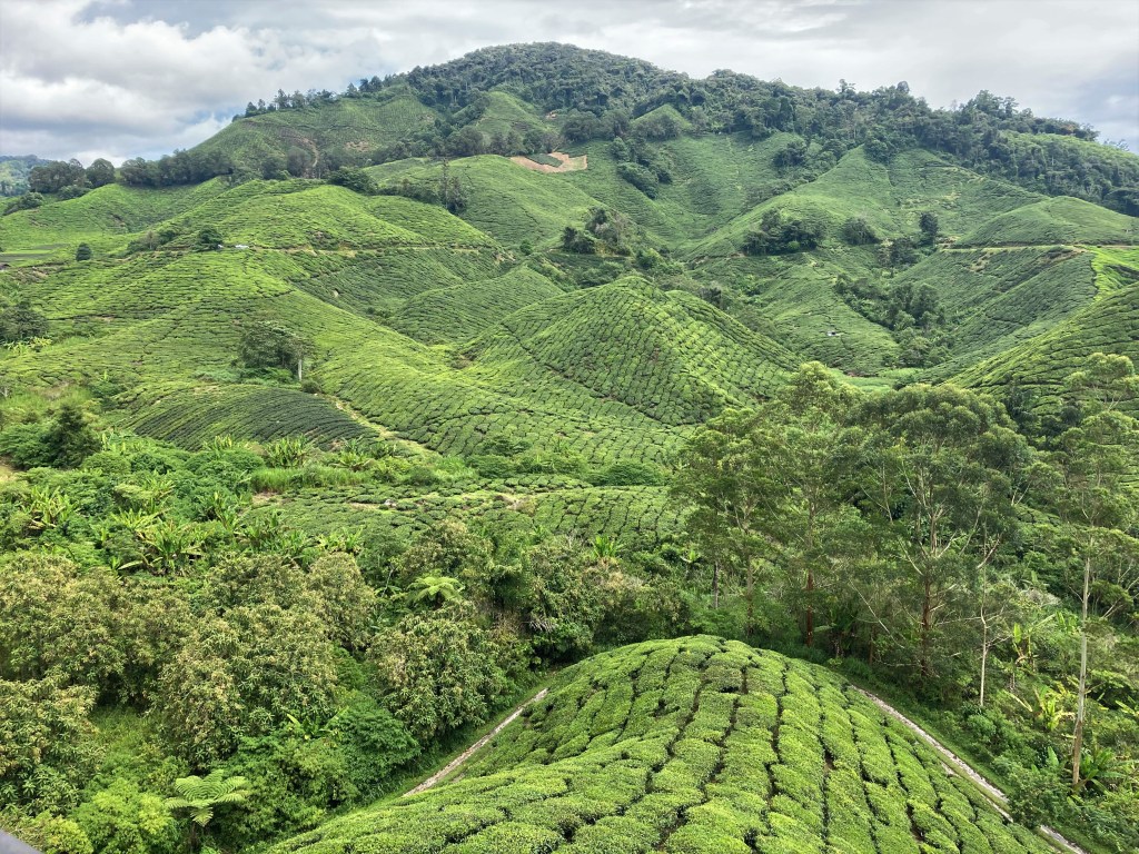Getaway Guide: Cameron&nbsp;Highlands